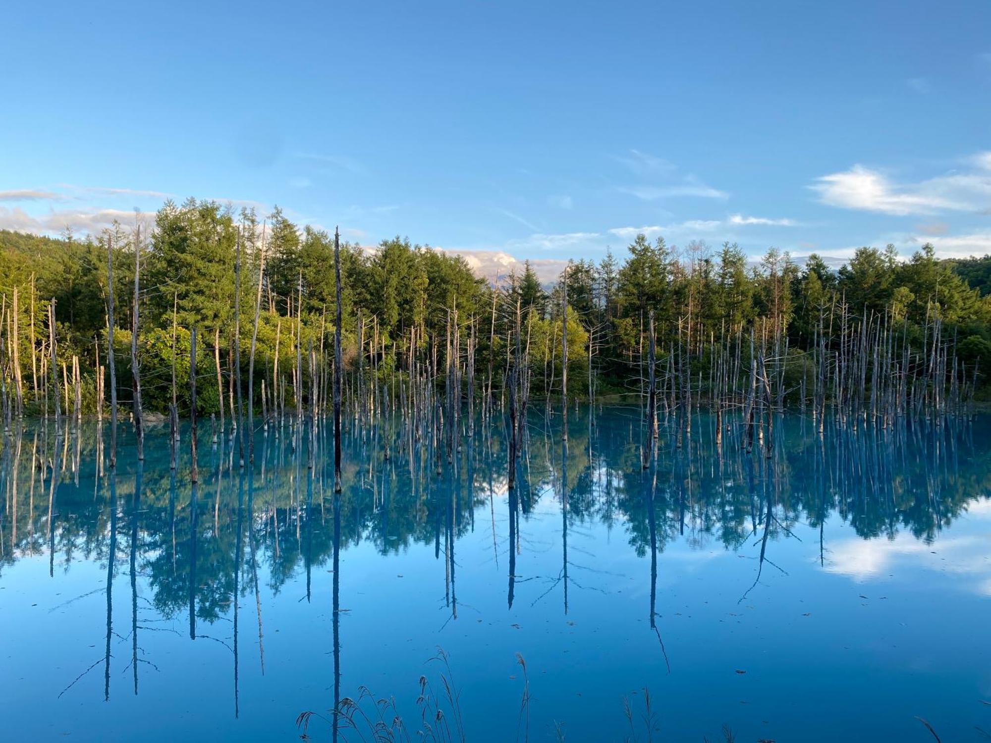 Hotel Naturwald Nakafurano Zewnętrze zdjęcie